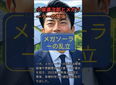 小泉進次郎とメガソーラーの関係
