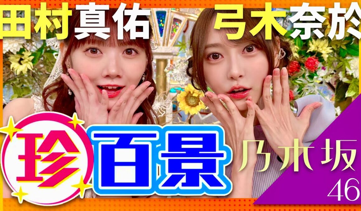 ナニコレ珍百景【8月24日放送/弓木奈於/田村真佑】