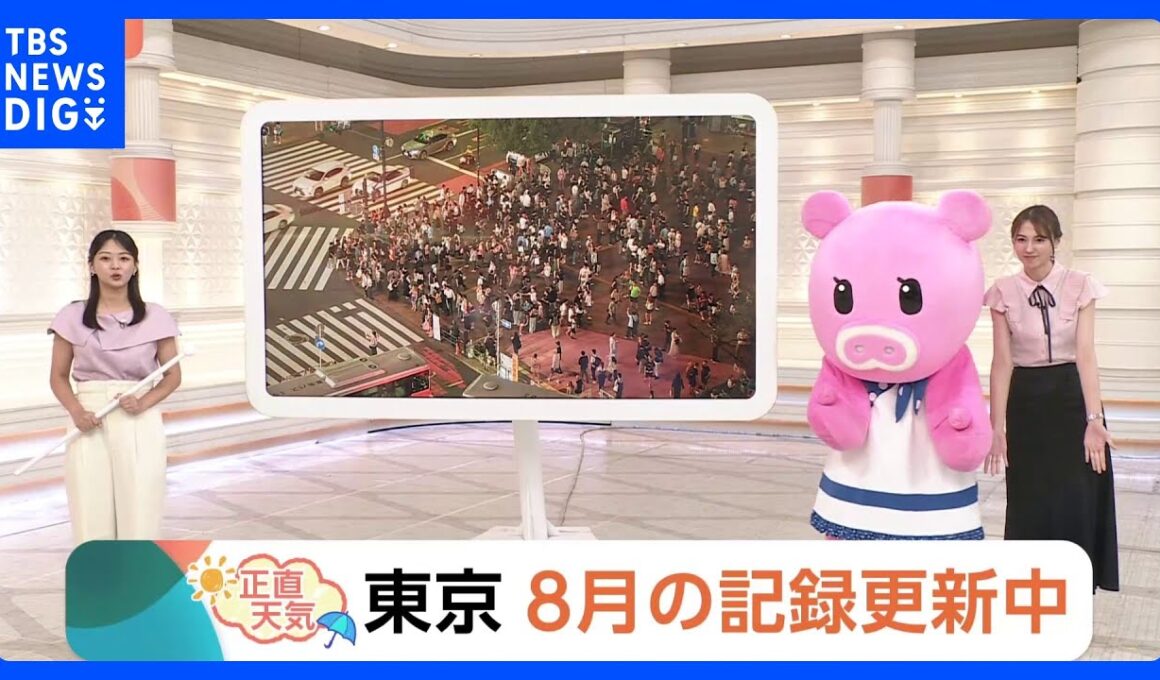 【8月26日 関東の天気】東京 8月の記録更新中｜TBS NEWS DIG