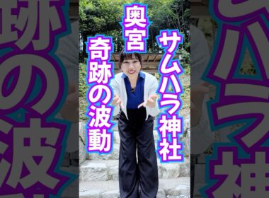 表示されたら奇跡⚠️呼ばれた人限定⚠️サムハラ神社奥の宮⛩️根源神の波動エネルギー送り🎁 #奇跡 #サムハラ神社 #スピリチュアル