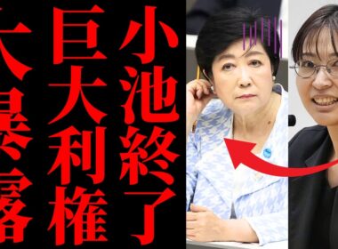【圧力発覚】小池百合子、都政の利権暴露で追い詰められる！さとうさおり都議への圧力と都民の怒りの真相【分析・見解・世間の声】