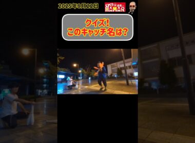 【クイズ】ちょっと詰めが甘いこのキャッチ名は？