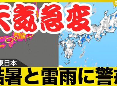 【酷暑と雷雨警戒】東京は9日連続猛暑日か／午後は広く天気急変も