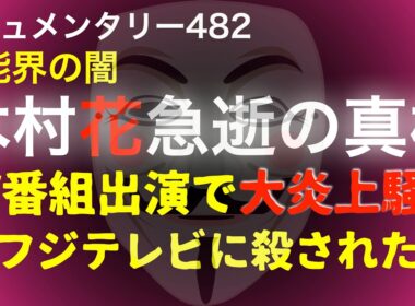 木村花急逝の真相『TV番組出演で大炎上』