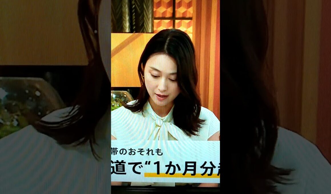 夏！小川彩佳23と能登▪日本応援団669