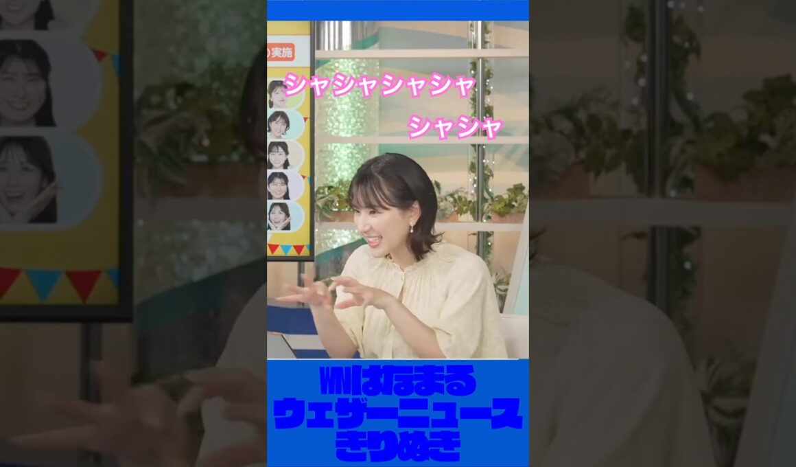 語るがかわいいお天気お姉さん【ウェザーニュース切り抜き】#白井ゆかり #ゆかりん
