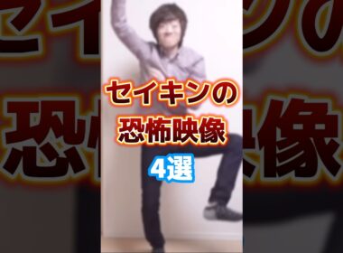 セイキンの恐怖映像4選