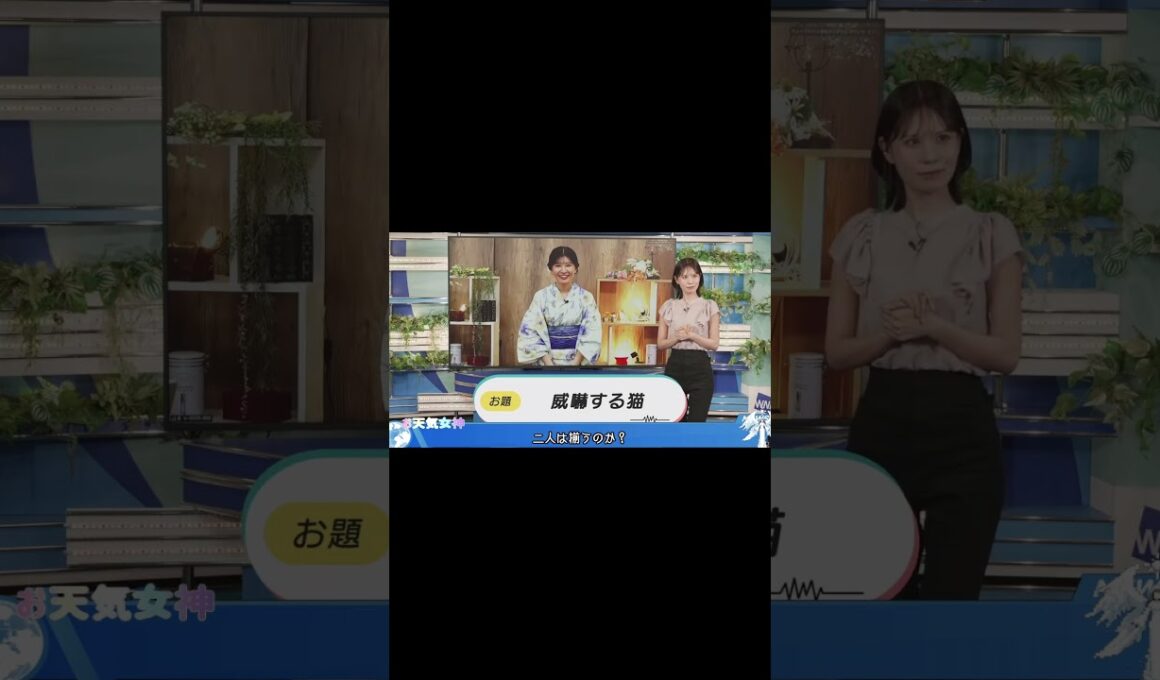 【戸北美月】ジェスチャーゲーム　#駒木結衣 ＃戸北美月 ＃お天気お姉さん ＃天気キャスター #ウェザーニュース