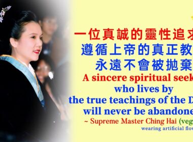 90歲純素母親火化奇蹟👉骨骼潔白，智慧眼區域完好✨印心修行見證幸福一生｜90-Year-Old Vegan's Cremation Miracle: A Spiritual Life Revealed