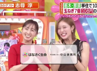 ヒルナンデス! 2025年8月29日🅵🆄🅻🅻🆂🅷🅾🆆【𝐇𝐃】