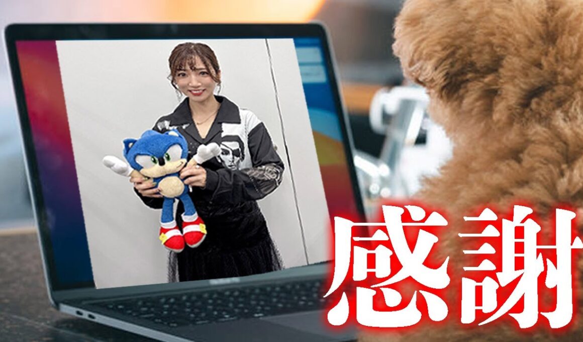 【雑談】また個人事業主になりました【退職】【感謝】
