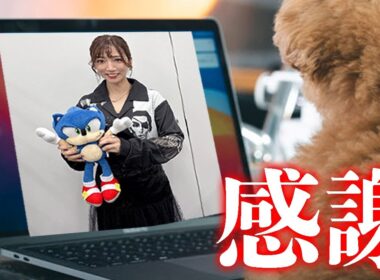【雑談】また個人事業主になりました【退職】【感謝】