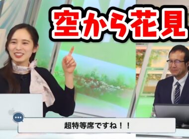 【内田侑希】見下ろすお花見とは？〈WeatherNewsLive〉2023.2.19coffeetime