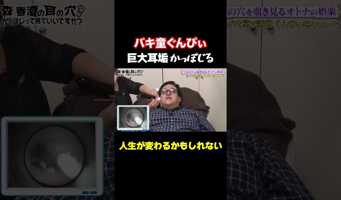 【巨大耳垢をかっぽじる】バキ童ぐんぴぃの耳毛に北野興奮/ #森香澄の全部嘘テレビ #森香澄 #リンダカラー∞ #りなぴっぴ #春とヒコーキ #ぐんぴぃ #土岡 #バキ童 #北野日奈子 #shorts