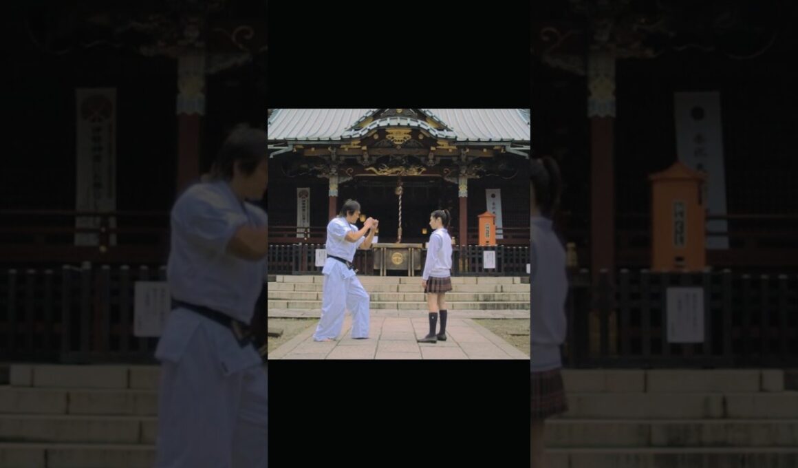 HIGH KICK GIRL! 【Rina Takeda】