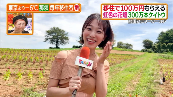 【画像】今日の今井春花さん　8.29