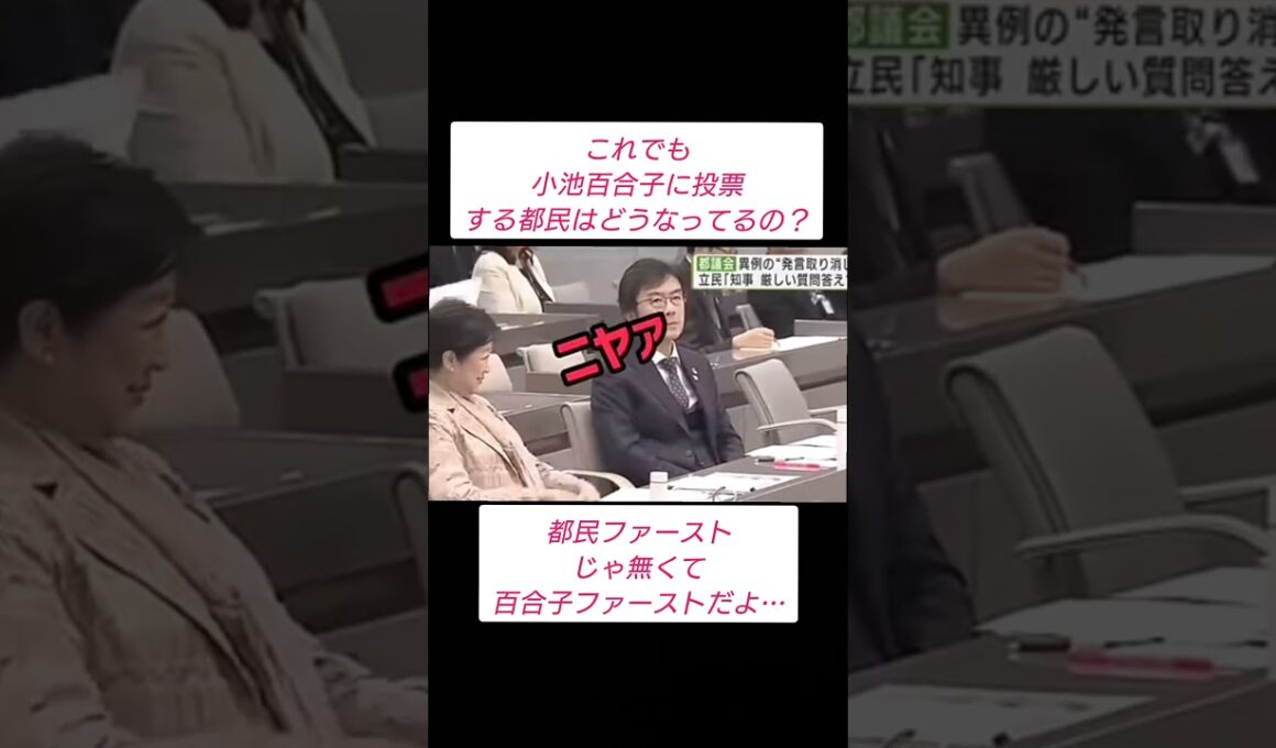 中国大好きメガソーラーばあさん。#都民ファーストの会 #小池百合子 #メガソーラー