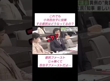 中国大好きメガソーラーばあさん。#都民ファーストの会 #小池百合子 #メガソーラー