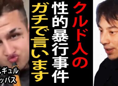 埼玉県川口市のクルド人の性的暴行事件についてガチで言います【ひろゆき切り抜き】