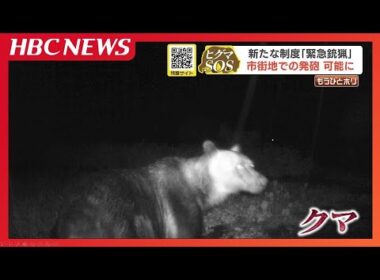【ヒグマSOS】9月1日から「緊急銃猟」制度スタート　ヒグマ出没で市街地での猟銃発砲が可能に　  一方で、ハンターからは不安や葛藤の声も