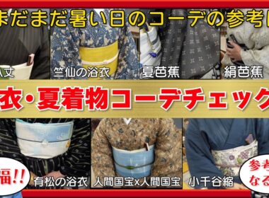 【眼福】浴衣・夏着物コーデチェック‼️まだまだ暑い日のコーデの参考に‼️18着一気に見せます‼️