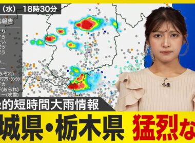 【大雨情報】茨城県・栃木県で猛烈な雨 記録的短時間大雨情報