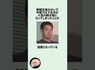 野獣先輩のせいで下北沢が中国で有名観光地になった件