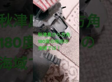 平和な海かとおもいきや！