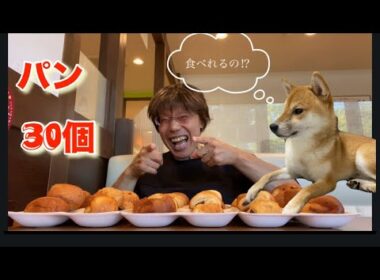 【柴犬飼い主55歳】パン30個食べたら…店員さんに心配されるのか!?【朝食ココス限界チャレンジ】
