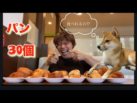 【柴犬飼い主55歳】パン30個食べたら…店員さんに心配されるのか!?【朝食ココス限界チャレンジ】