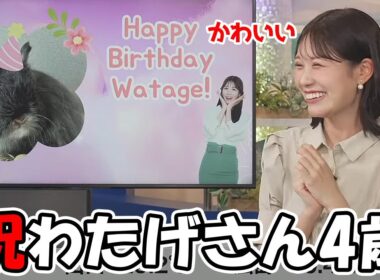 【戸北美月】8月25日にわたげさんが目出度く4歳を迎えました（3年前の映像有）