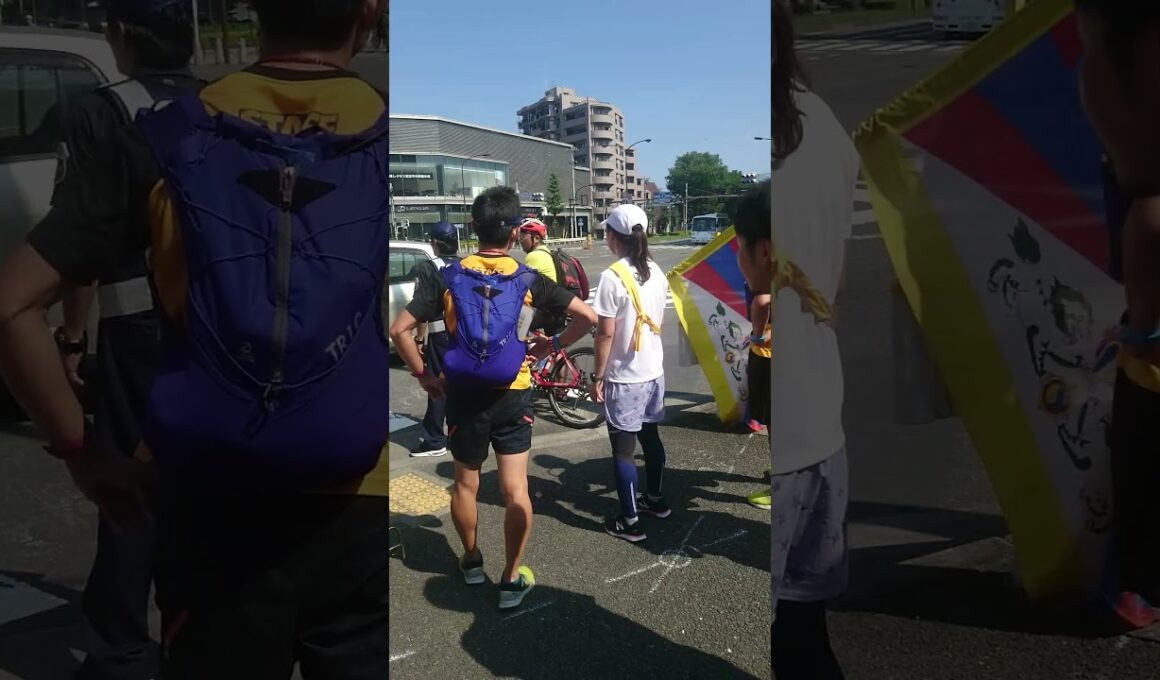 2019年 24時間テレビチャリティーマラソン追跡 水卜麻美 水卜ちゃん