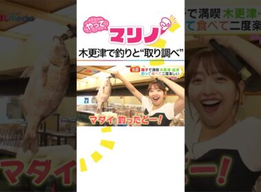#藤本万梨乃 アナが結婚生活について取り調べ!? #めざましテレビ #やってマリノ #shorts