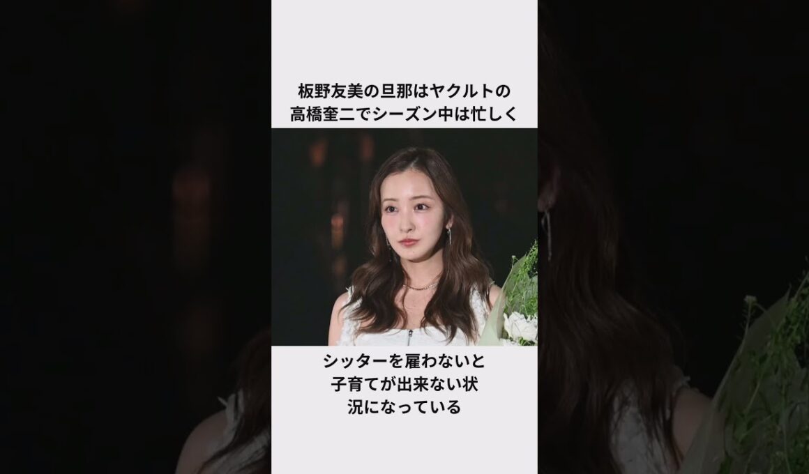 板野友美のベビーシッター活用エピソード#板野友美 #akb48 #高橋奎二