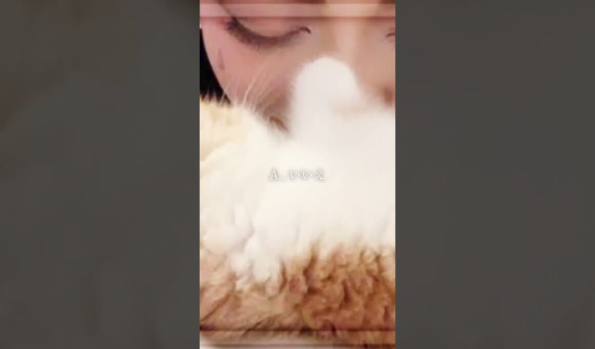 木村花さんの死、悲しすぎますね😭