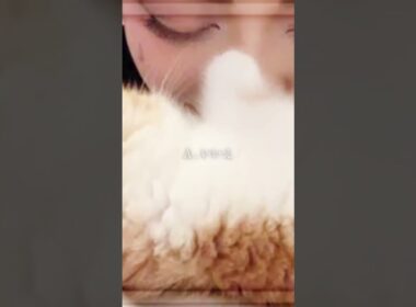 木村花さんの死、悲しすぎますね😭