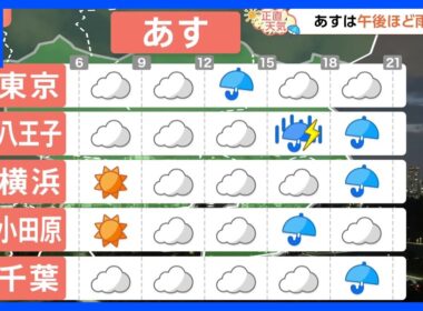 【9月11日 関東の天気】午後ほど雨強く｜TBS NEWS DIG