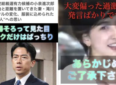 【私の独り言】小泉進次郎の妻。滝川クリステルについて軽く話します。批判覚悟です。