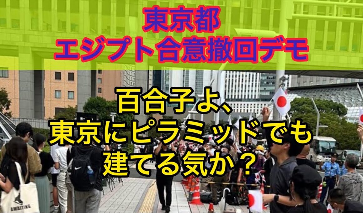 東京都エジプト合意撤回デモ　#小池都知事 #小池百合子 #エジプト #移民政策反対 #デモ
