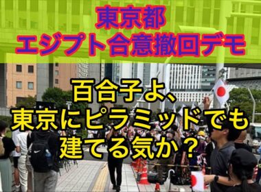 東京都エジプト合意撤回デモ　#小池都知事 #小池百合子 #エジプト #移民政策反対 #デモ