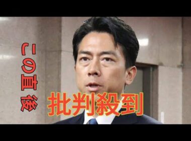 自民党総裁選有力候補の小泉進次郎氏》政治と距離を置いてきた妻・滝川クリステルの変化、服装に込められた“首相夫人”への思い