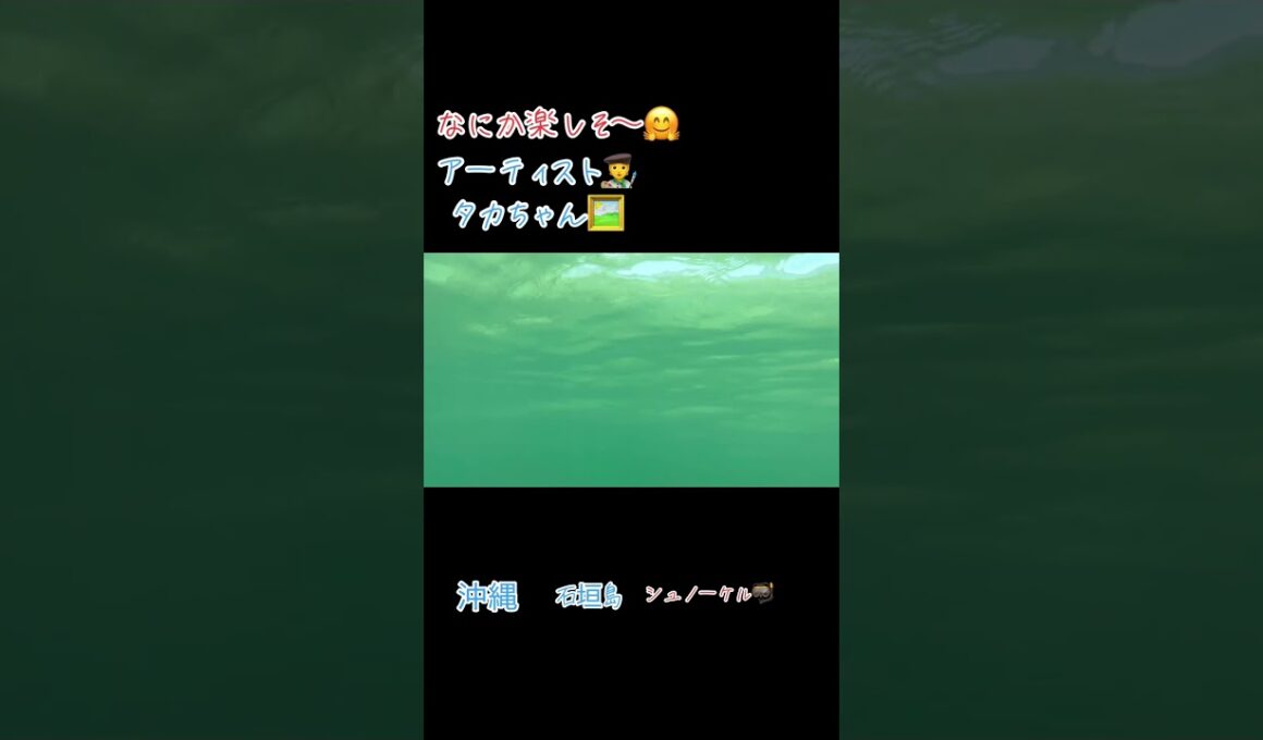 なにか楽しそ〜🤗沖縄　石垣島　シュノーケル🤿#沖縄#世界平和#感謝#ありがとう#石垣島#シュノーケル#海 #放浪の画家 #アーティスト #タカちゃん #春川隆