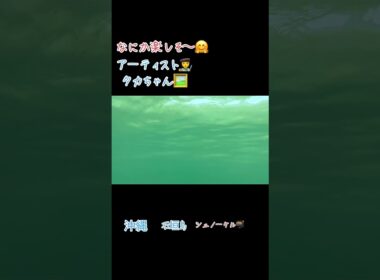 なにか楽しそ〜🤗沖縄　石垣島　シュノーケル🤿#沖縄#世界平和#感謝#ありがとう#石垣島#シュノーケル#海 #放浪の画家 #アーティスト #タカちゃん #春川隆