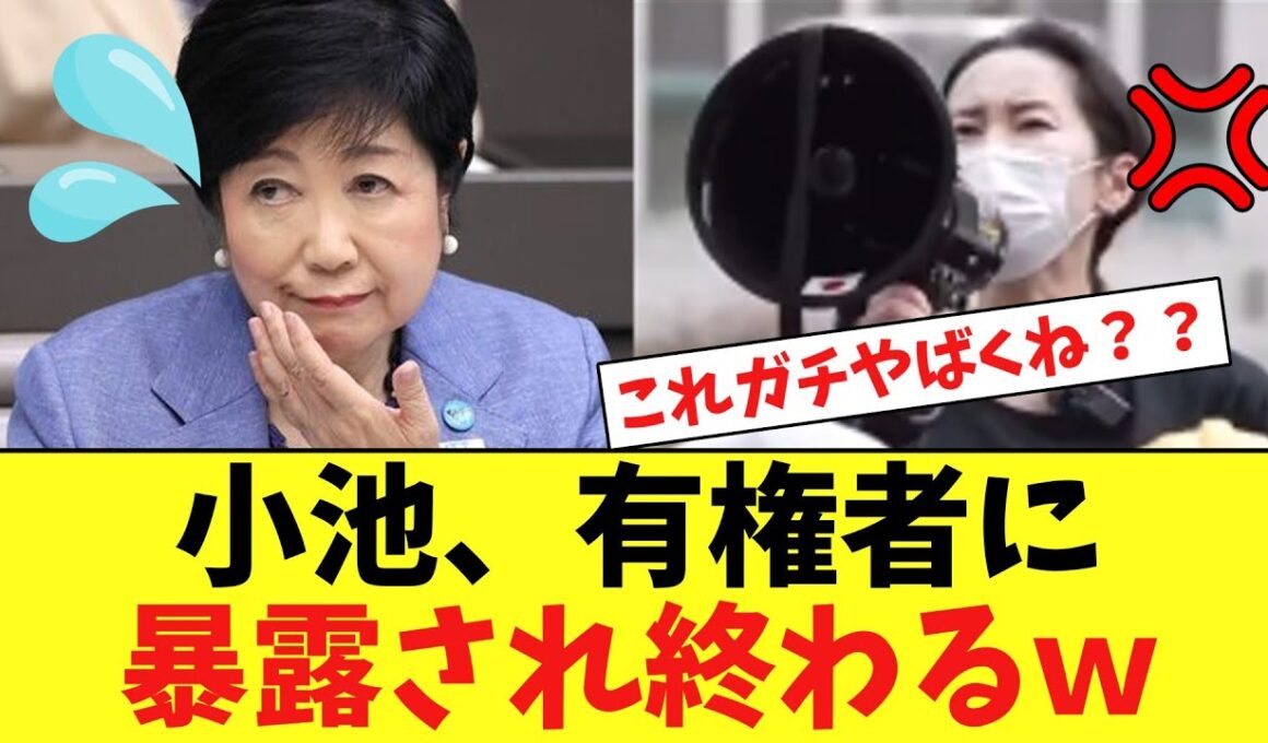 小池百合子、「小池辞めろデモ」で不正選挙を暴露され終わるｗｗｗ