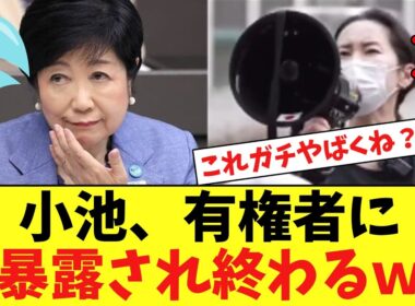 小池百合子、「小池辞めろデモ」で不正選挙を暴露され終わるｗｗｗ