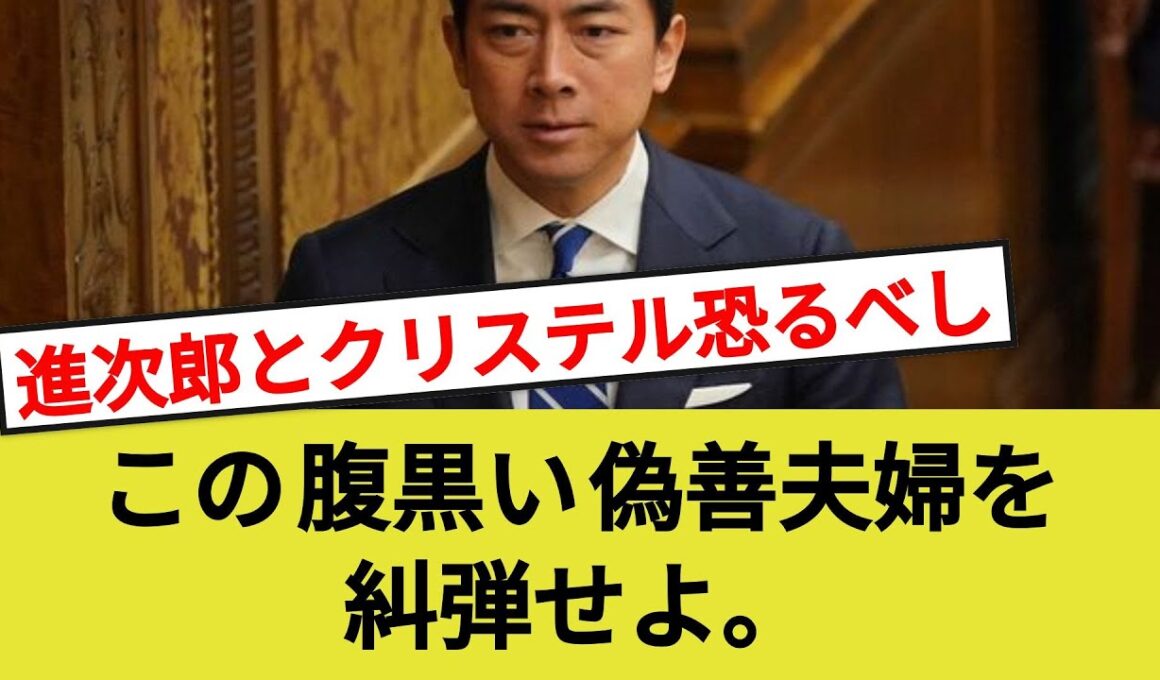 進次郎とクリステル恐るべし