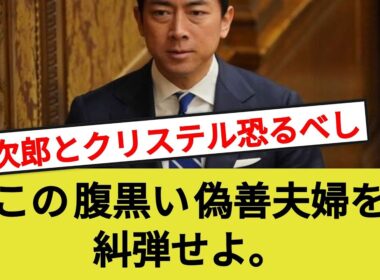 進次郎とクリステル恐るべし