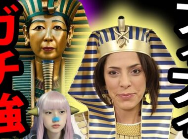 フィフィ 激怒 ！ 小池百合子 学歴詐称 を剥がす ！ ジョーカー議員 カイロ大学 視察！ エジプト移民デモ がヤバい