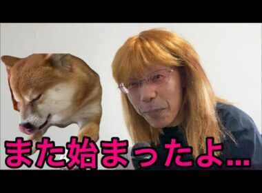 【柴犬飼い主55歳】尾崎病、再発。柴犬またも被害者に…」