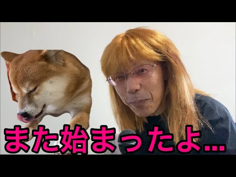 【柴犬飼い主55歳】尾崎病、再発。柴犬またも被害者に…」